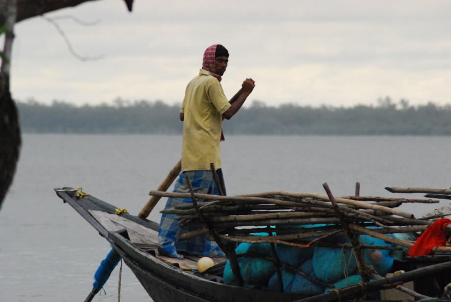 Sundarbans